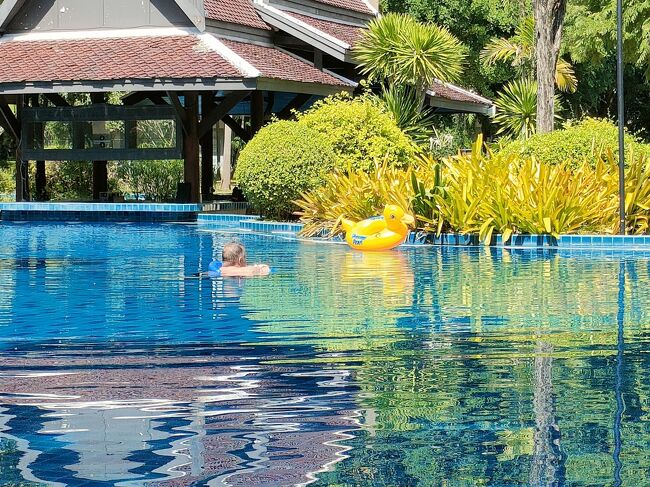 アヒルさんも泳いでますね～<br /><br />と、寝転びながら翌日合流する予定の9月からチェンマイ在住のMさんにサメット島ツアー行くか確認して、メールにあった催行日、11月10日で2名の予約メールを入れました。<br />実は11月10日はパタヤ日帰りするXi yeさんとランチ予定だったので、こちらも間に合えばディナーで再会に予定を変更していただきました。<br />Xi yeさんの旅行記：https://4travel.jp/travelogue/11793017