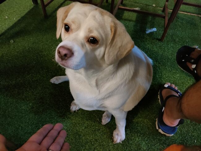 こうやって見ると可愛いムー君なんでけどね！