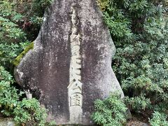 食べてしまった罪悪感を打ち消すべく、歩く
ゆるーいのぼり坂
歩くぞー