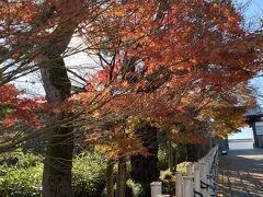 歩いて、金沢城公園へ。
ちょうど紅葉が色付いてました