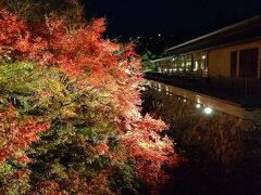 １日めの夕食は、ROKU KYOTOレストラン「TENJIN」です。
ライトアップされたレストラン「TENJIN」前の紅葉です。