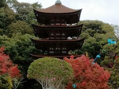 「瑠璃光寺」に立ち寄りました。
五重塔（国宝）は、1442年（室町時代）に建立されたそうです。