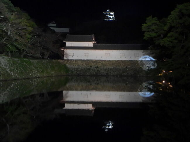 お腹が満たされたところで、錦秋の玄宮園ライトアップに出かけます。