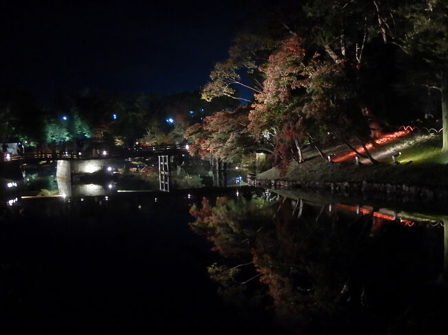 ライトアップといっても、全体的に控えめな感じ。