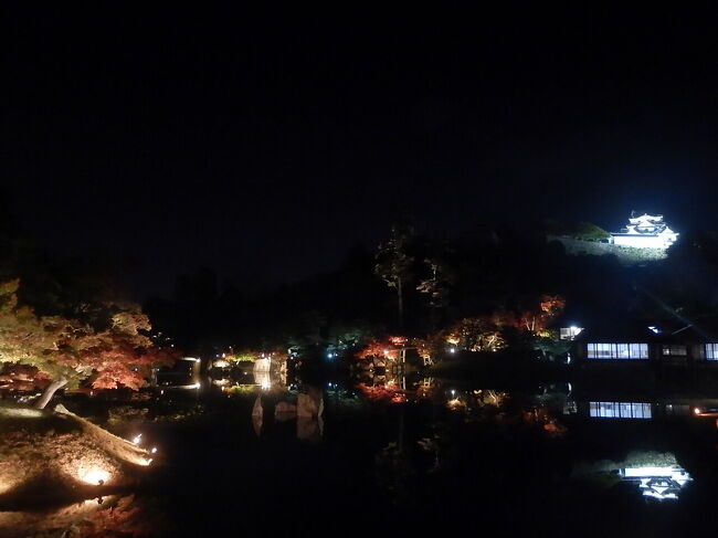 彦根城もライトアップ中で、池に、逆さまに映るのも幻想的。