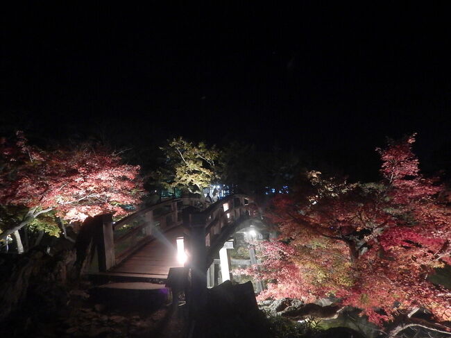 橋と紅葉。<br /><br />全体的に紅葉には少々早い時期だったけど・・<br />人も少な目なんで、ゆったりと楽しめました(^-^)v