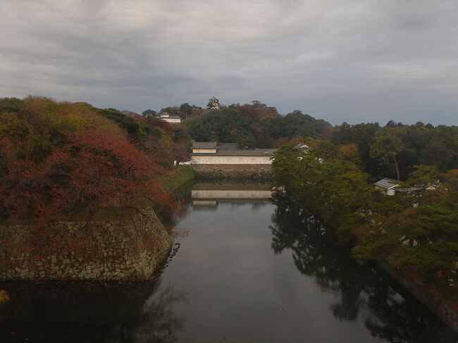 翌朝。<br />右側は、いろは松という松並木。
