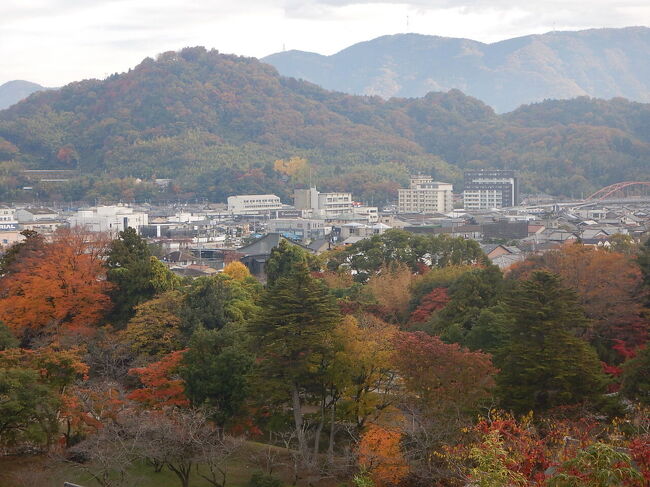 では、彦根城に登城しましょう。<br />昨日もホテルから見えた、佐和山。