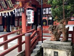 巨人がキャンプの前に参拝してる神社波の上神宮
最近立て直しをしたようで、とっても立派できれい