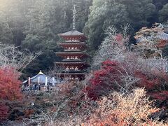 長谷寺 五重塔