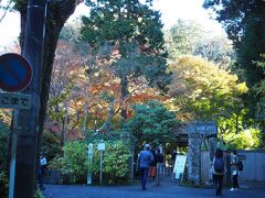 円覚寺は門前で失礼し、明月院もスルー。

紫陽花の季節は、北鎌倉駅付近まで列が続くが紅葉の季節は訪れる人もまばら。
