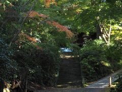 妙本寺

鎌倉駅からもそれほど遠くないが、訪れる人は少ない。

静かでお気に入り。