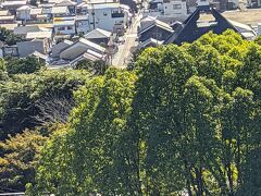 城下町　昭和通りが良く見えます。この後城下町を散策します。