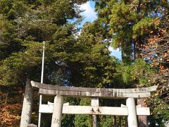 そのまま歩いて新宮神社へ
こちらは信楽ならではの神社でした。