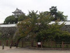 もくもくと歩くこと30分
岸和田城に着いた。