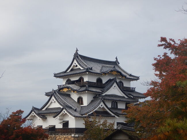 違う角度からの天守。<br />小さな天守だけど、なんか、どことなく愛嬌のあるフォルムですよね。