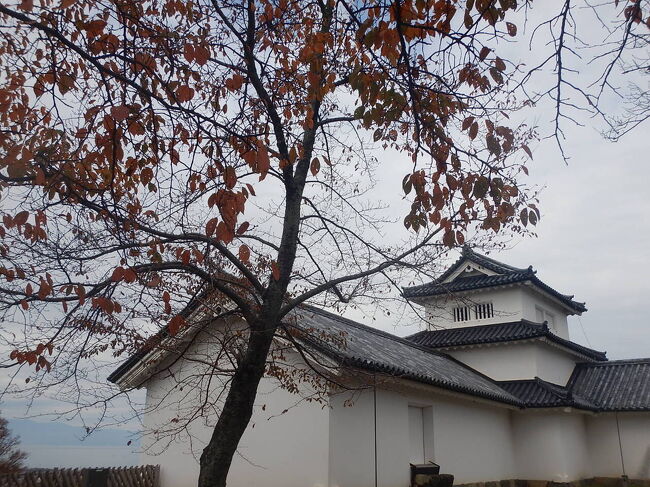 西の丸二重櫓。<br />ここもそうだけど、彦根城では、ほとんどの櫓の中も見学できます。