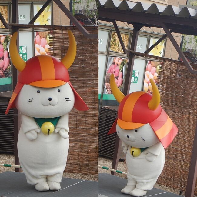 めちゃくちゃかわいい～(^^)/<br />それでいて、礼儀正しいんです。<br />大ファンになっちゃいました笑<br />なんで、グッズお買い上げ～！<br /><br />ひこにゃんは、ホームページで、何時にどこで会えるかがアップされてます。<br />毎週土日の朝11時からは、ここ四番町スクエアに出没するみたい。