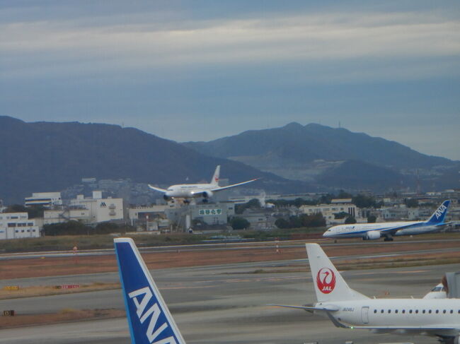 今日の伊丹空港は、いつもとは反対側からの離着陸！