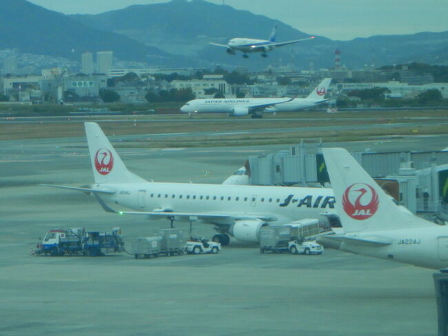 珍しいですよね。