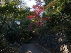 公園内の丘を登ります。亥鼻城というお城があった場所なんだそうです。