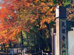 天龍寺・北門。

天龍寺の庭園も素晴らしいと思います。
以前、新緑の時期に訪れたときは、雨模様ながら、緑とお池のコントラストが美しかった…

が、今回は見送りました。
「9時になると人が増える～。。。」の呪いが頭から離れません(笑)
