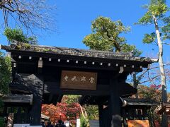 常寂光寺に到着しました。
先ほどの御髪神社から小倉池を横目に見ながら３００ｍほど。

入口で５００円の拝観料を納めます。
この時点で１０時。
徐々に人が増えてきました。