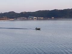 東郷湖朝7時、一斉にしじみ漁の船が走る