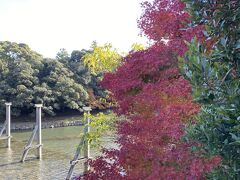 宇治橋を渡る時、紅葉が綺麗でした。
