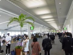 ただいま～
と言いたくなる那覇空港

旅行割のせいか
お客さんが増えている！！
修学旅行生も
（学生さん良かったね！）