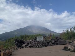 桜島港に到着後、有村展望台で下車観光。

実は今回このバスの車中で、ビックリの出会いがありました。
ガイドさんと『神戸から日帰りで来たんですよ～』
『ええーーー！日帰り？何で日帰り?』なんて会話をしていたら、前に座っておられたおひとりの女性が、
『神戸からですか？私も神戸出身で、今は沖縄に嫁いでますが。』と…
『神戸のどちらですか？』と聞かれ、私が『○○区です』と答えると、『えーー、一緒です！』って…
聞くと我が家の隣駅、息子が通った高校の最寄駅にご実家があるそうで、何とも不思議なご縁でした。

そう言えば昔々、バックパックを背負ってヨーロッパを周っていた時に、どこのユースだったか、同じ町内に住む方に出会った事がありました。遠い遠い昔の話ですが…