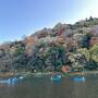 京都・嵐山の紅葉めぐり（２）　～宝厳院のライトアップ～