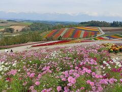 次のお花畑へ。