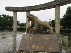 高速を宜野座ICで降りて、今日の宿に向かいます・
宜野座運動公園のトラの石像。
つい先日まで阪神が秋のキャンプをしてたそうです。