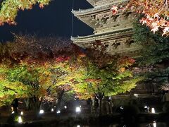 食後に東寺のライトアップなど。

京都のライトアップ見たの初めてだなー。

Yさん、忙しいのに時間つくってくれて、本当にありがとうございました！
