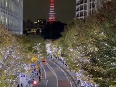 定番の東京タワーとのショット。今日はインフィニティ・ダイヤモンドヴェールでした。