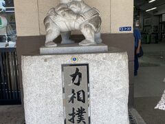力相撲の像の前が集合場所
主催者から挨拶と説明を受ける
参加人数は3グループに分けられて1グループ１5名ほど

 