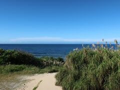 古宇利島　ハート岩へ続く小道
気温29度で暑かったです。半袖、短パン、ビーチサンダル持参して正解でした。植物的には秋なのかススキがあちこちでフサフサ、風になびいていました。
駐車場は100円～300円（ハート岩に近いほど高くなる）。距離はそんなに変わらないので100円の駐車場に停めました。