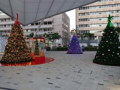 特に渋滞もなく、県庁前に帰ってきました。17：40頃。
パレットくもじ前のクリスマスツリー　夕方からライトアップ中
