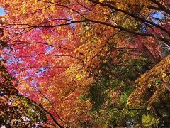 いきなりですがカーナビで永源寺の駐車場を入れたら山門でなく裏山の方を案内されたので山から入って行くコースになりました。歩いて１０分位です。　