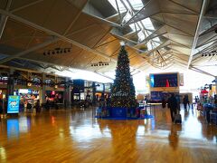 【中部国際空港セントレア】
イベントプラザには大きなツリーが飾られています・*:..｡o○☆*ﾟ・*:..｡o○☆*ﾟ・*:..｡o○☆*ﾟ・*:..｡o○☆*ﾟ