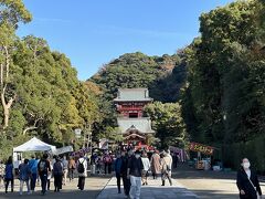 と思ってたら凄い人。
多くの人が小町通りの方を通ってたんですかね。
自分は完全に忘れてて、なんだったら旅から帰ってきてから気付きました&#128517;