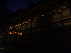 奈良市内に戻り、レンタカーを返却し、タクシーに乗って春日若宮奉祝万燈籠を見に来ました。暗くてうまく写りません。