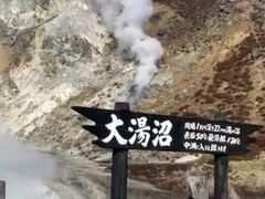 遊歩道を歩いて15分程度で到着しました。

地獄谷から見る景色とは、何倍もの迫力があります。