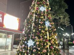 宝塚駅に近い場所にあるクリスマスツリーもパチリ☆

まだ雨が降っていて傘をさしていたので、上下ともに若干切れかけていますが、もうこのまま帰らせてもらいま～す(*ﾟ▽ﾟ)ﾉｻﾖﾅﾗﾏﾀﾈ~