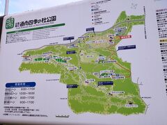 道南四季の杜公園　とてつもなく広い公園。バーベキューもできるようです。