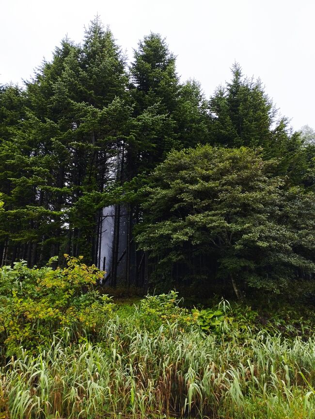 出てるー！ゴウゴウと吹き出していました。