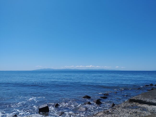 近くの海辺を散策