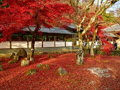 最後に訪れたのは永源寺。1361年に開山された、臨済宗永源寺派の大本山である。

幸いなことに、ここも紅葉見ごろで、おまけに空が晴れてきた。秋の日は暮れるのが早いと見どころへ急いだ。

写真は開山堂周辺の紅葉である。一部落葉していたが、落ち葉の美しさが見事だった。時刻は15時30分ごろ。