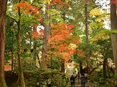 滋賀県東部の湖東三山や永源寺は伝統のある寺院で、紅葉の美しさでも有名だ。4Travelにも見事な写真が掲載されている。一度、訪れてみたかったが、車の運転から離れつつあると、アクセスが問題である。

クラブツーリズムのツアーはコロナ前には盛大に利用したものの、コロナと共に遠ざかっていた。パンフレットは送り続けて下さっているので眺めていると、ここへ行く日帰り旅が掲載されていて、参加してみる気になった。料金は昼食込みで1人あたり13,600円。さらに旅行支援で5,000円安くなり、申し訳ないような低料金である。

2022年11月26日7時50分、名古屋駅前集合だ。バスは順調に飛ばして、10時頃には湖東三山の最初のお寺、西明寺についた。834年に開創された天台宗の寺院である。早速、石段の道を登って行った。嬉しいことに紅葉はまだ見ごろである。11月中旬に見ごろになったので、色あせを心配していたが、頑張ってくれていたのだ。